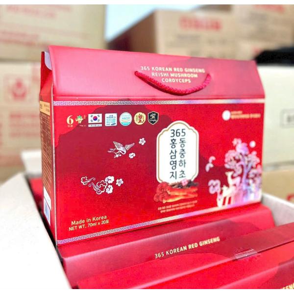 NƯỚC HỒNG SÂM LINH CHI ĐÔNG TRÙNG HẠ THẢO 365