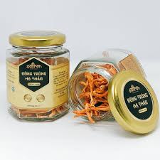 đông trùng hạ thảo phú nhuận
