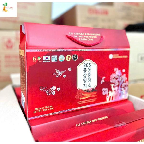 NƯỚC HỒNG SÂM LINH CHI ĐÔNG TRÙNG HẠ THẢO 365