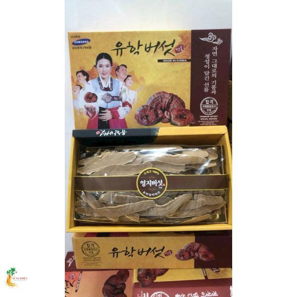 Nấm Linh Chi Hộp Cắt Lát 1kg