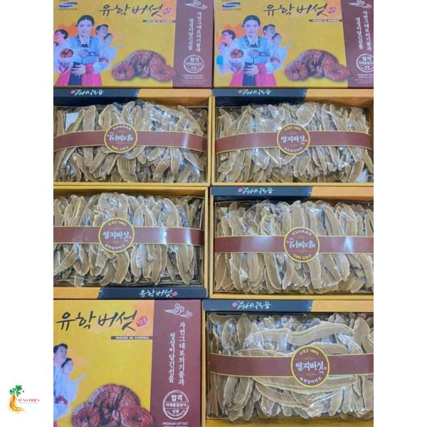 Nấm Linh Chi Hộp Cắt Lát 1kg